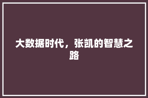 大数据时代，张凯的智慧之路 网站优化