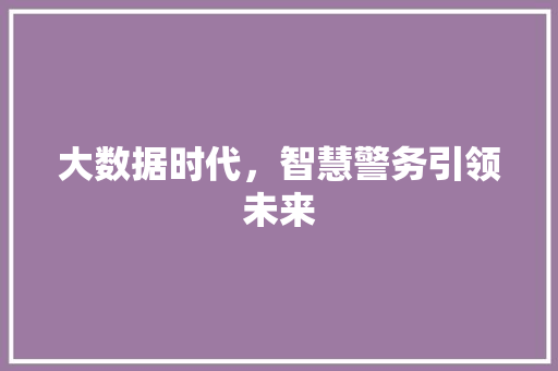 大数据时代，智慧警务引领未来