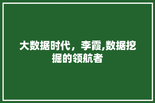 大数据时代，李霞,数据挖掘的领航者