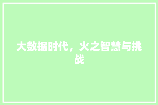 大数据时代，火之智慧与挑战 搜狗优化