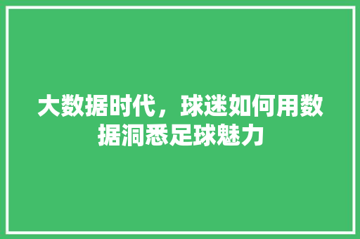 大数据时代，球迷如何用数据洞悉足球魅力 百度算法