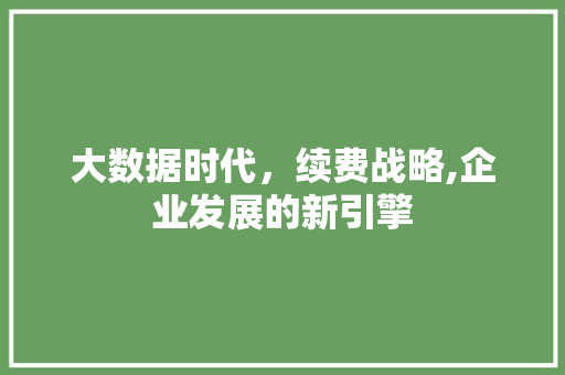 大数据时代，续费战略,企业发展的新引擎 360搜优化