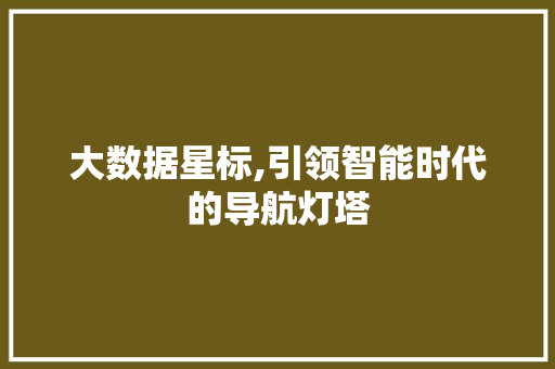 大数据星标,引领智能时代的导航灯塔 小程序开发