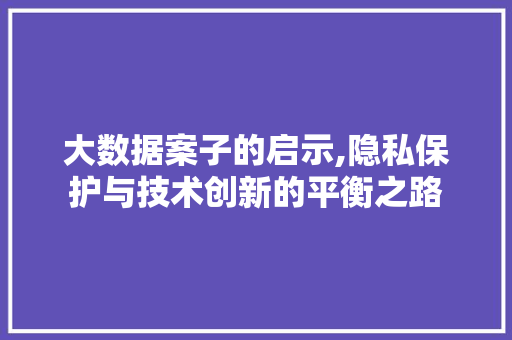 大数据案子的启示,隐私保护与技术创新的平衡之路 小程序开发