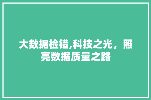 大数据检错,科技之光，照亮数据质量之路 网站优化