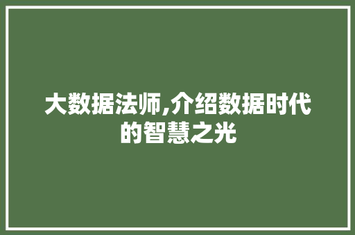 大数据法师,介绍数据时代的智慧之光 小程序开发