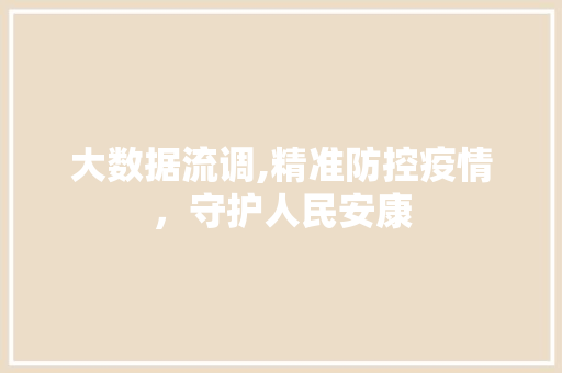 大数据流调,精准防控疫情，守护人民安康