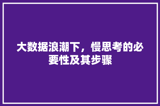大数据浪潮下，慢思考的必要性及其步骤 网站开发