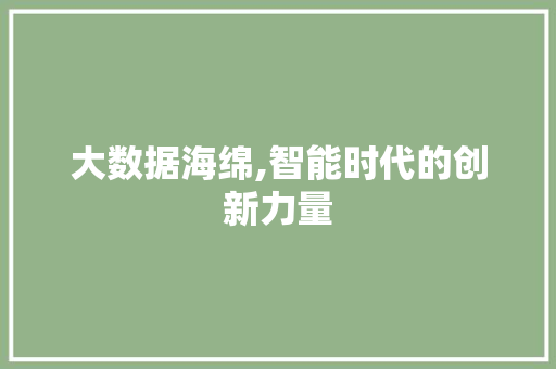 大数据海绵,智能时代的创新力量 百度算法