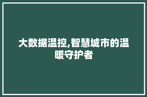 大数据温控,智慧城市的温暖守护者 seo技术