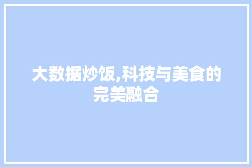 大数据炒饭,科技与美食的完美融合