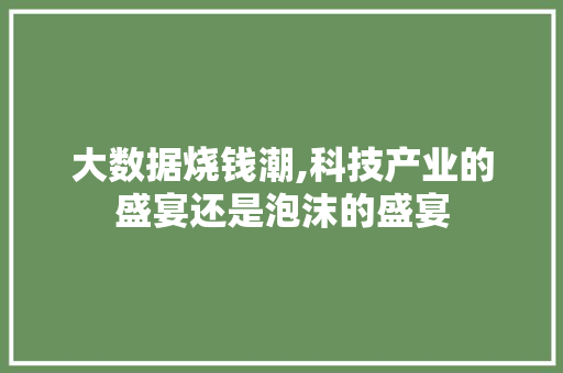 大数据烧钱潮,科技产业的盛宴还是泡沫的盛宴 英文谷歌算法