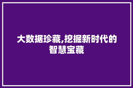 大数据珍藏,挖掘新时代的智慧宝藏 360搜优化