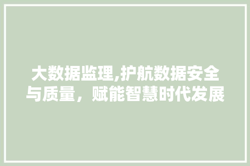 大数据监理,护航数据安全与质量，赋能智慧时代发展 seo技术