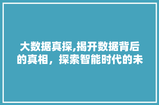 大数据真探,揭开数据背后的真相，探索智能时代的未来 360搜优化