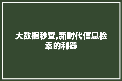 大数据秒查,新时代信息检索的利器