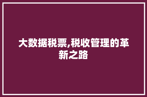 大数据税票,税收管理的革新之路 网站优化