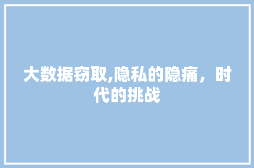 大数据窃取,隐私的隐痛，时代的挑战 小程序开发