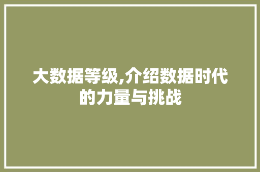 大数据等级,介绍数据时代的力量与挑战