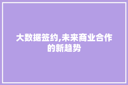 大数据签约,未来商业合作的新趋势 360搜优化