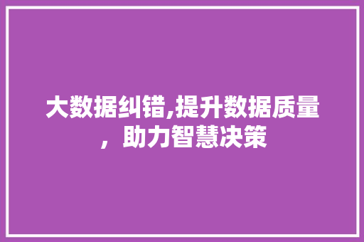 大数据纠错,提升数据质量，助力智慧决策