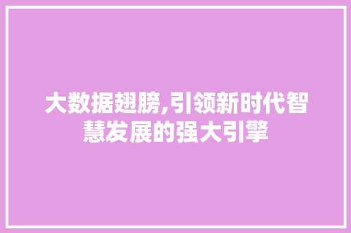 大数据翅膀,引领新时代智慧发展的强大引擎 小程序开发
