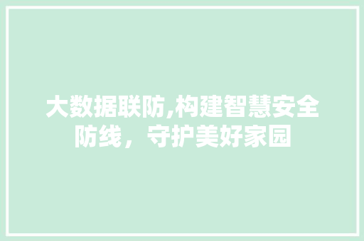 大数据联防,构建智慧安全防线，守护美好家园 网站开发