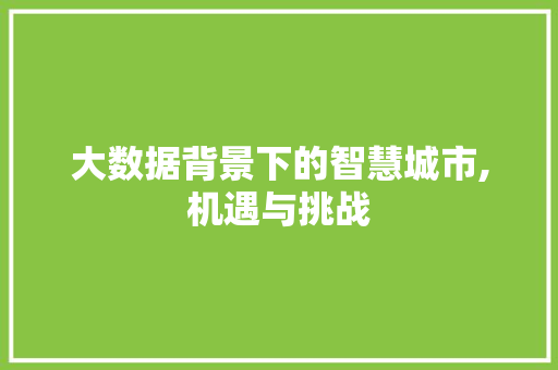 大数据背景下的智慧城市,机遇与挑战