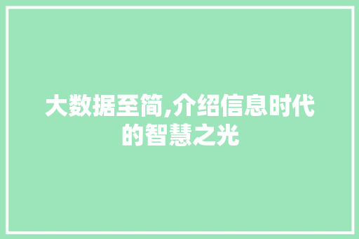 大数据至简,介绍信息时代的智慧之光