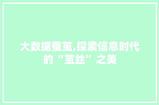 大数据蚕茧,探索信息时代的“茧丝”之美 英文谷歌算法