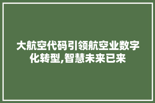 大航空代码引领航空业数字化转型,智慧未来已来