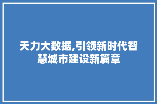 天力大数据,引领新时代智慧城市建设新篇章 小程序开发
