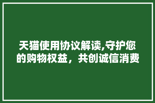 天猫使用协议解读,守护您的购物权益，共创诚信消费环境