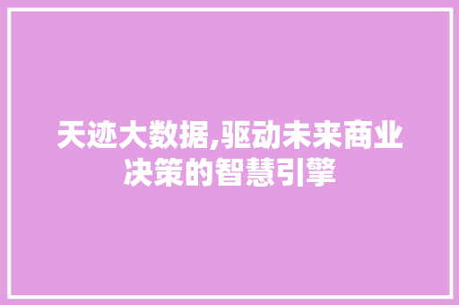天迹大数据,驱动未来商业决策的智慧引擎