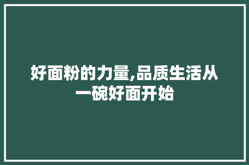 好面粉的力量,品质生活从一碗好面开始 360搜优化