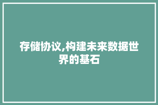 存储协议,构建未来数据世界的基石