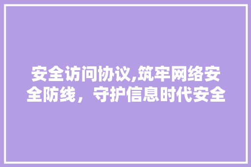 安全访问协议,筑牢网络安全防线，守护信息时代安全 AI技术学习