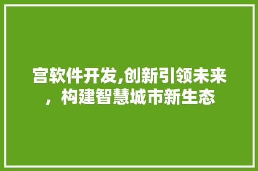 宫软件开发,创新引领未来，构建智慧城市新生态