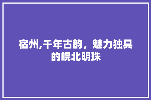 宿州,千年古韵，魅力独具的皖北明珠 英文谷歌算法