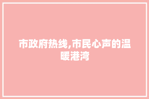 市政府热线,市民心声的温暖港湾