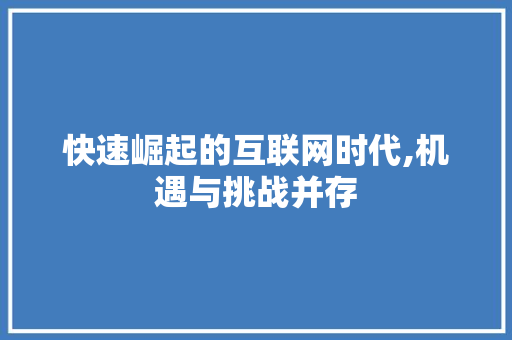 快速崛起的互联网时代,机遇与挑战并存