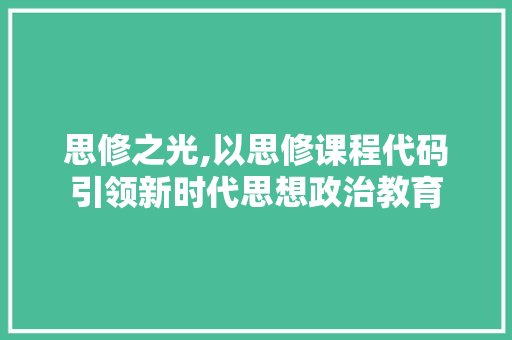 思修之光,以思修课程代码引领新时代思想政治教育