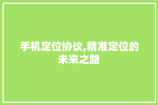 手机定位协议,精准定位的未来之路
