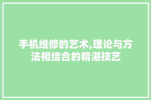 手机维修的艺术,理论与方法相结合的精湛技艺