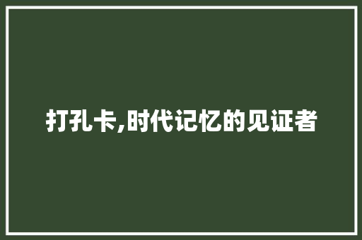 打孔卡,时代记忆的见证者