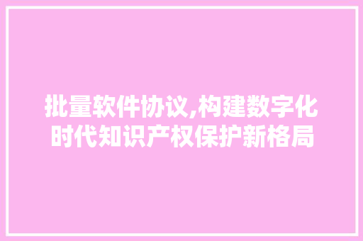 批量软件协议,构建数字化时代知识产权保护新格局