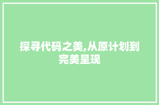 探寻代码之美,从原计划到完美呈现 网站优化