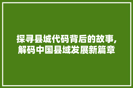 探寻县城代码背后的故事,解码中国县域发展新篇章