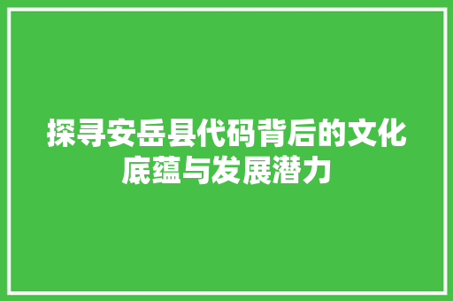 探寻安岳县代码背后的文化底蕴与发展潜力 AI技术学习