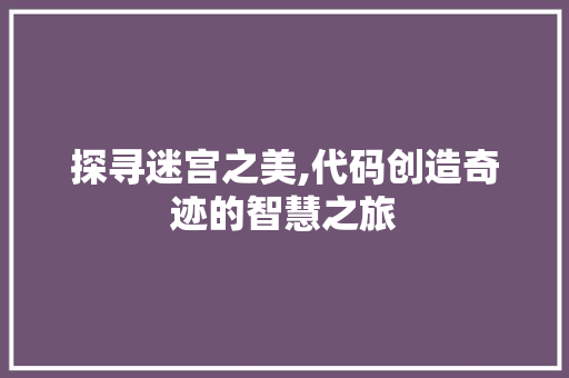 探寻迷宫之美,代码创造奇迹的智慧之旅